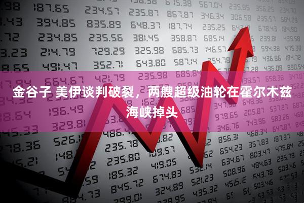 金谷子 美伊谈判破裂，两艘超级油轮在霍尔木兹海峡掉头