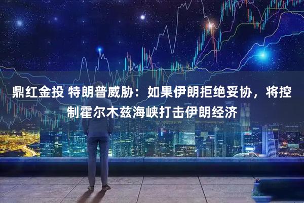 鼎红金投 特朗普威胁：如果伊朗拒绝妥协，将控制霍尔木兹海峡打击伊朗经济