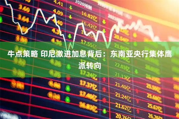 牛点策略 印尼激进加息背后：东南亚央行集体鹰派转向