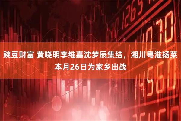 豌豆财富 黄晓明李维嘉沈梦辰集结，湘川粤淮扬菜本月26日为家乡出战